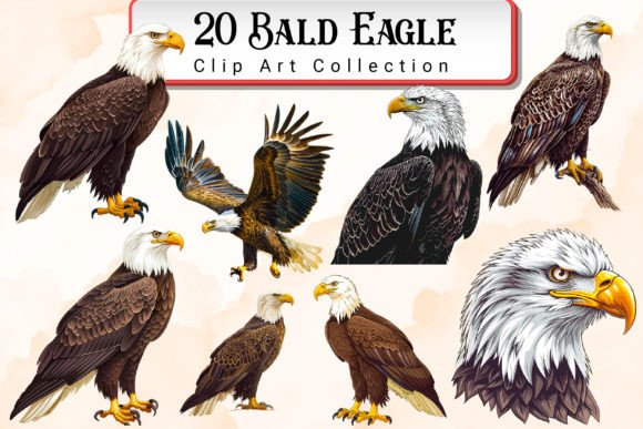 Download Bald Eagle Clipart Bundle - Bundle Collection
