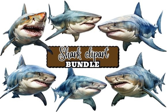 Download Watercolor Shark Clipart Bundle - Bundle Collection