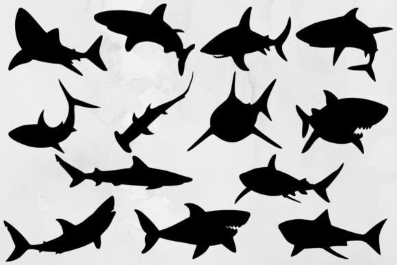 Download Shark Svg Bundle #2 - Bundle Collection