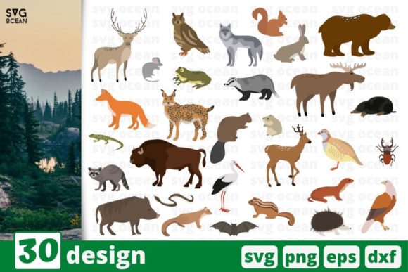 Download 30 Forest Animal Designs Bundle - Bundle Collection
