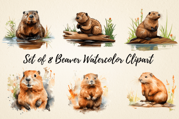 Download Beaver Watercolor Clipart Bundle - Bundle Collection